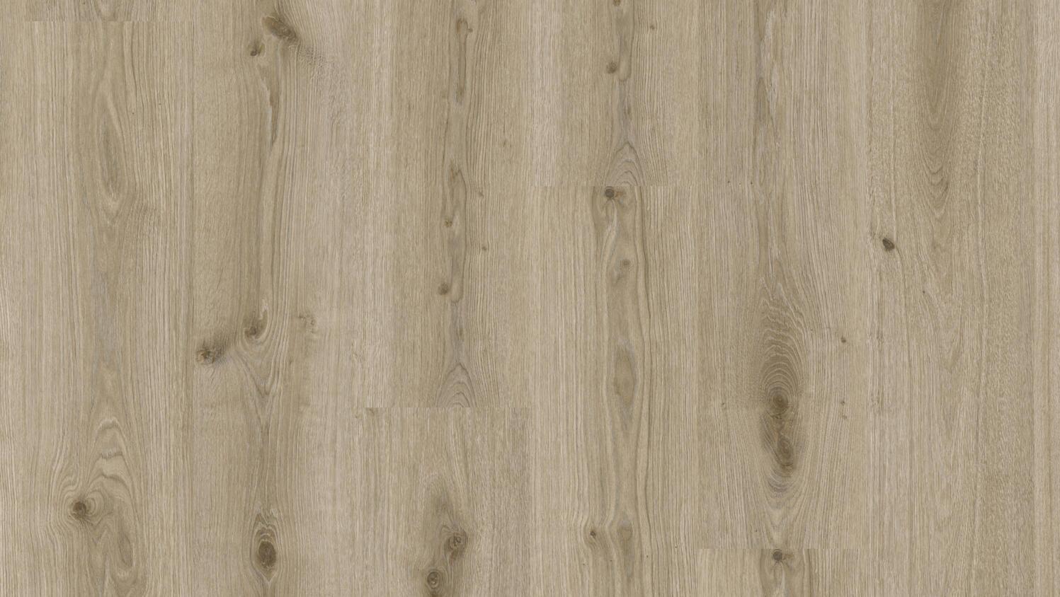 Tarkett Essence 55 4V Plank Glue-Down Primary Oak LT Grey 260053006 20x120 2,2mm LVT obloga koja se lepi 4.080 244.800