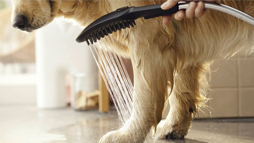 Hansgrohe DogShower  150 Matt Black ručni tuš za pse sa 3 vrste mlaza 26640670