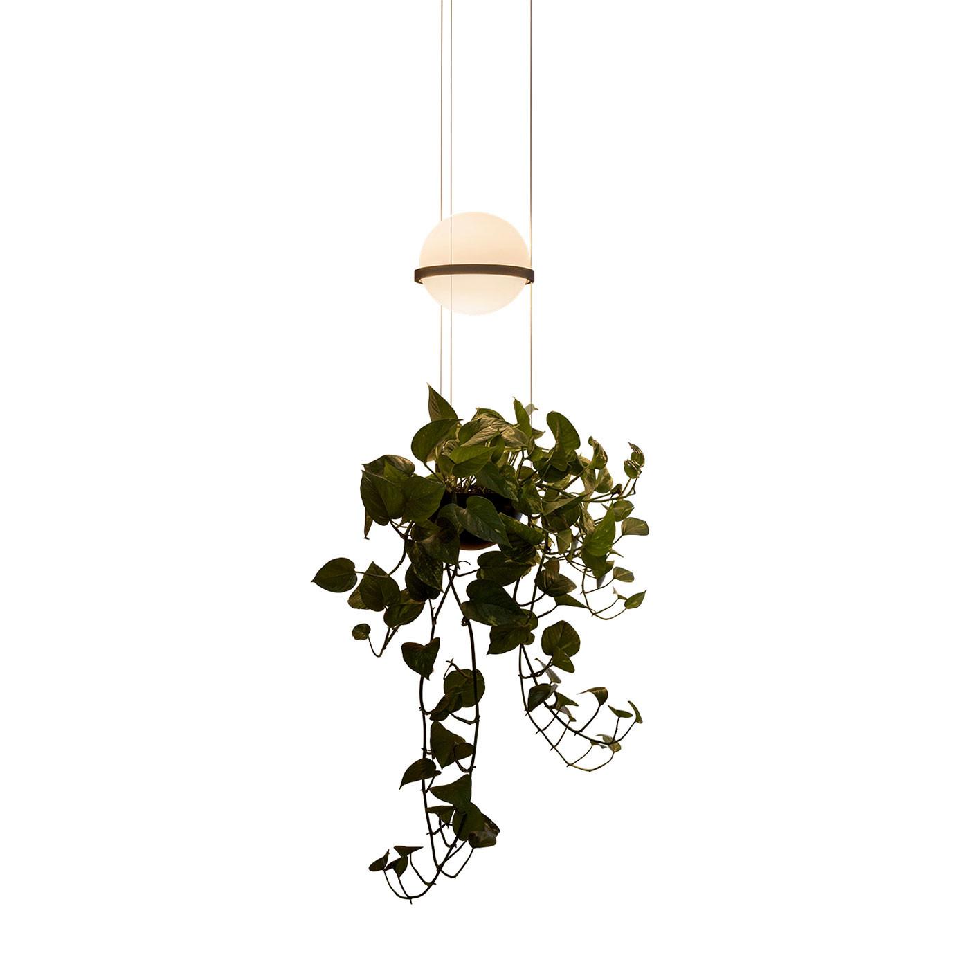 Vibia Palma 220 Graphite lampa visilica sa 1 loptom 1 saksijom i aktivacijom na dugme 2xLED 4,6W 372418/1B