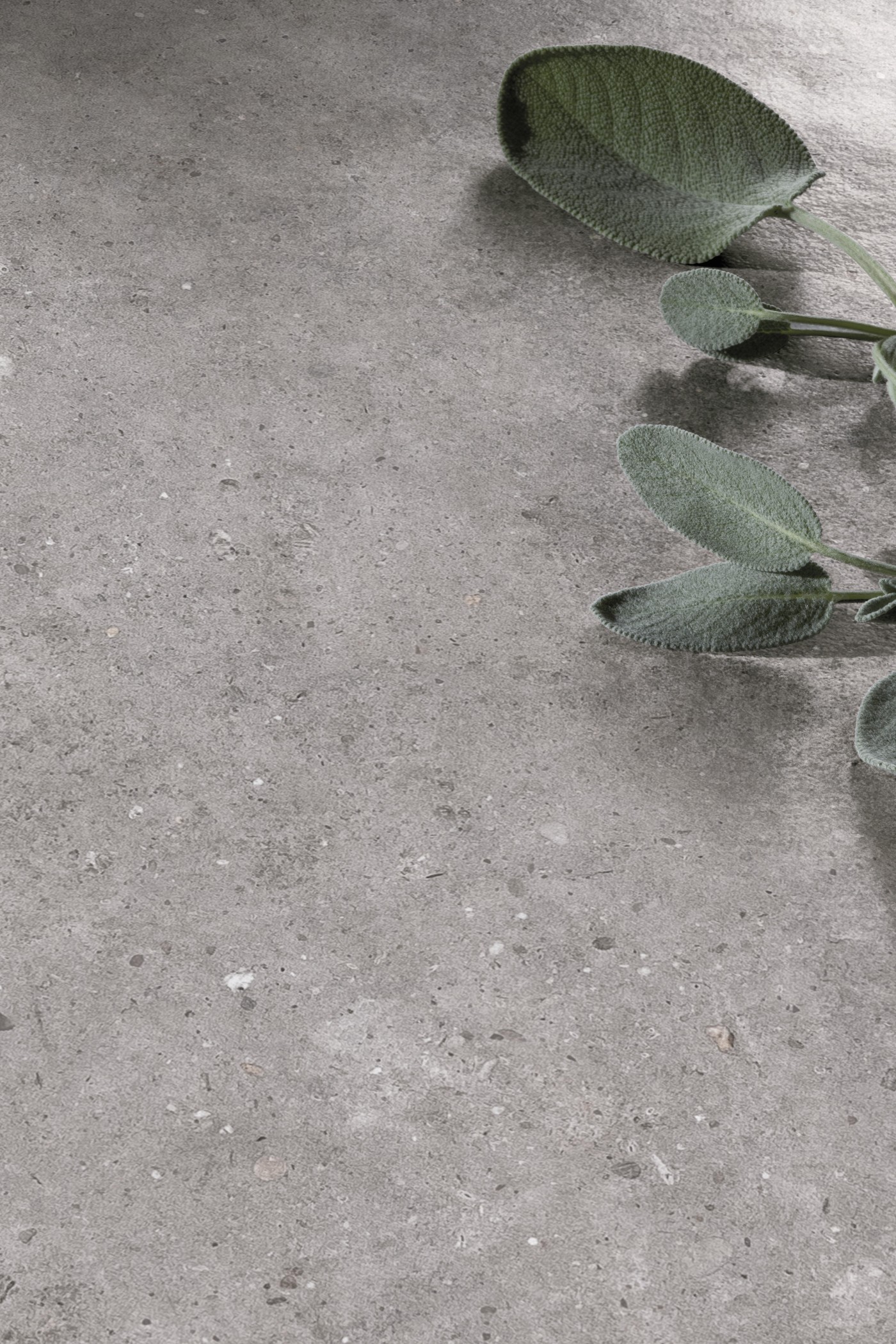 Pastorelli Biophilic Grey P009496J 60x60 8,5mm Natturalle/Matt Rett pločica-podno zidna 1.440 57.600