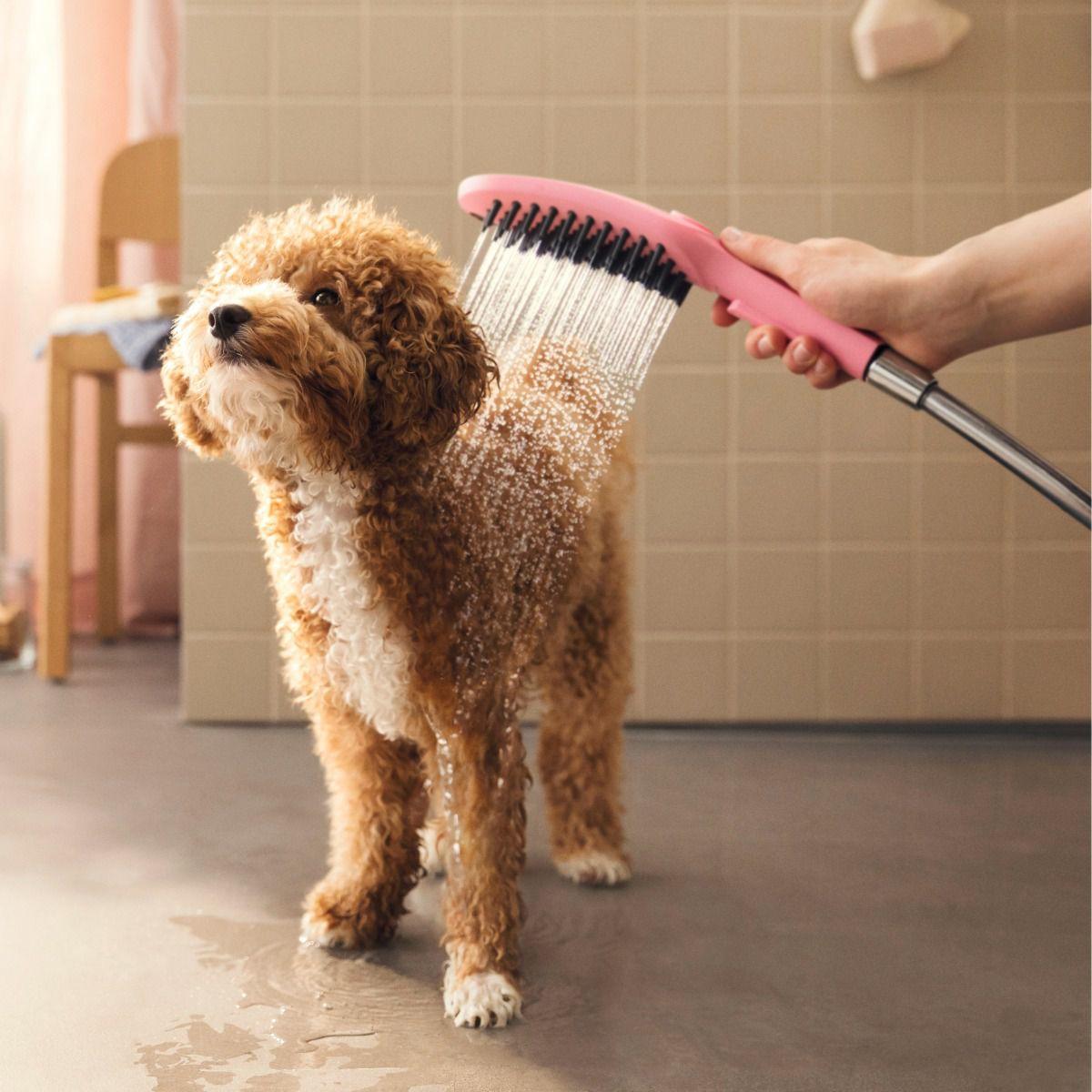 Hansgrohe DogShower 150 Pink ručni tuš za pse sa 3 vrste mlaza 26640560