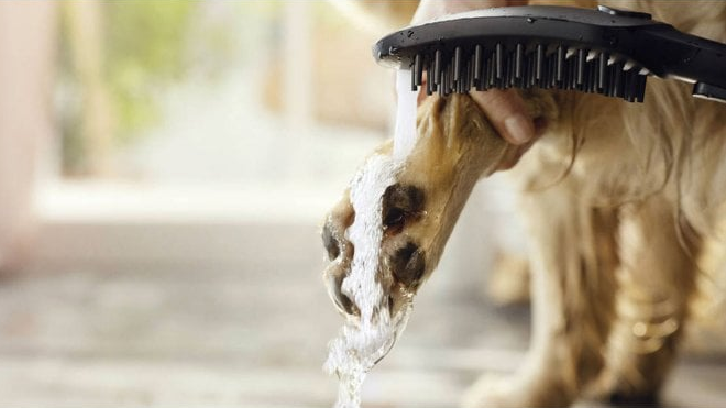 Hansgrohe DogShower  150 Matt Black ručni tuš za pse sa 3 vrste mlaza 26640670