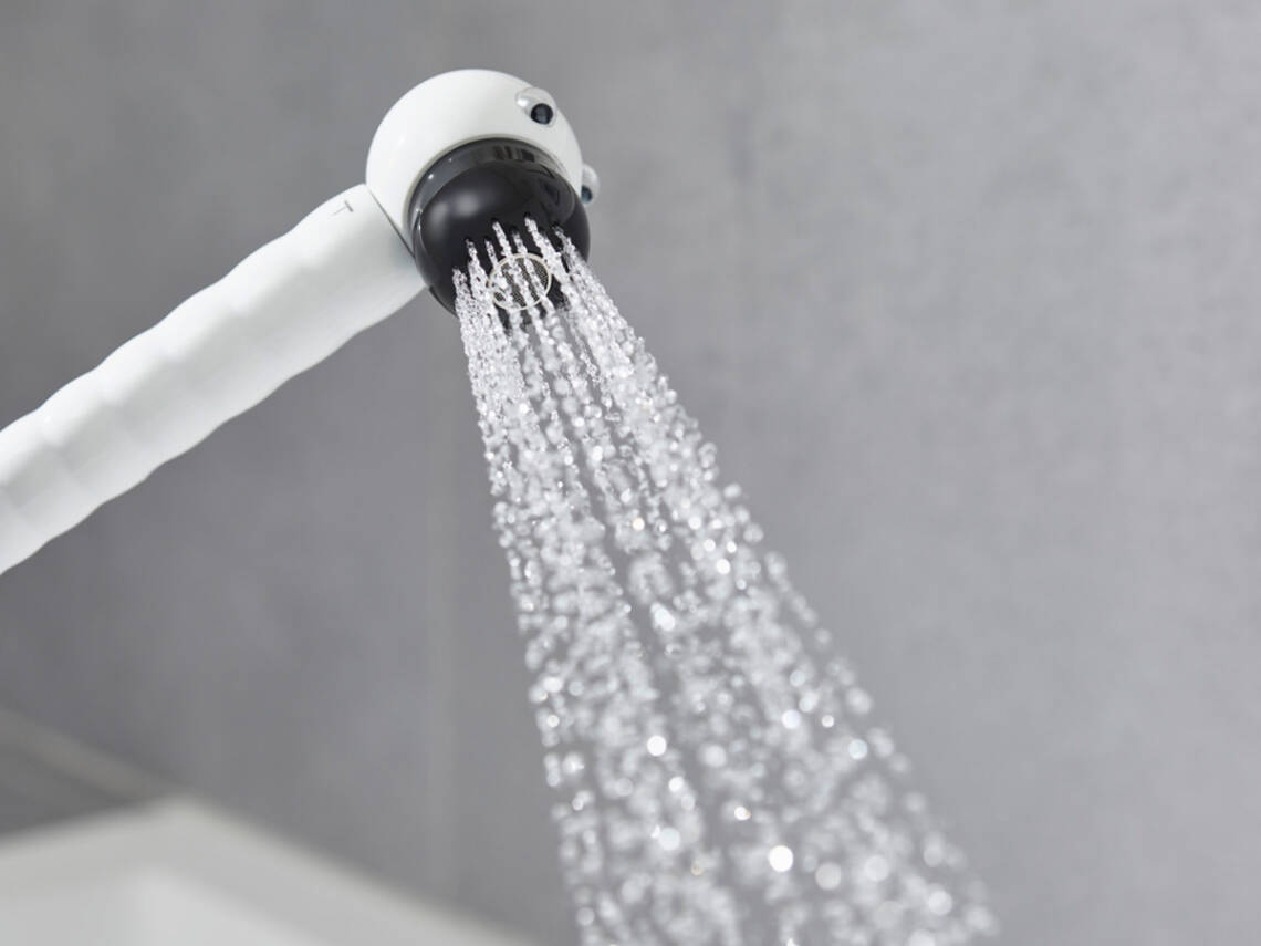 Hansgrohe Jocolino Zebra ručni tuš za decu sa 2 vrste mlaza 28787640