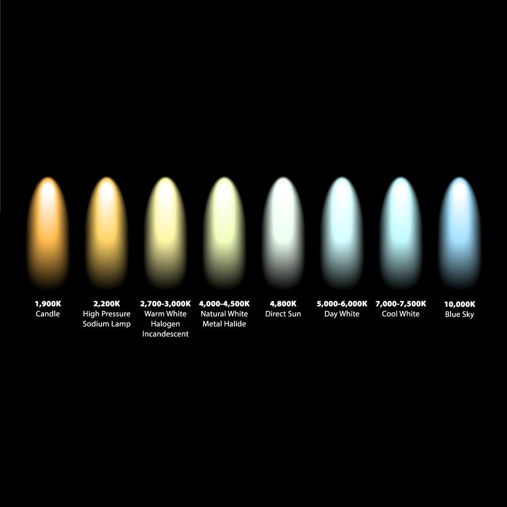 Vibia Palma 220 Graphite lampa visilica sa 1 loptom 1 saksijom i aktivacijom na dugme 2xLED 4,6W 372418/1B