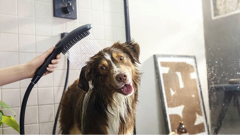 Hansgrohe DogShower 150 Matt White ručni tuš za pse sa 3 vrste mlaza 26640700