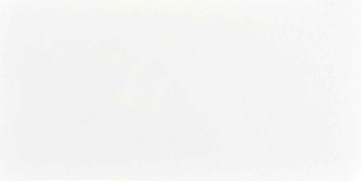 Keramika Kanjiža Bianca 25x50 8,8mm pločica zidna 1.250 60.000