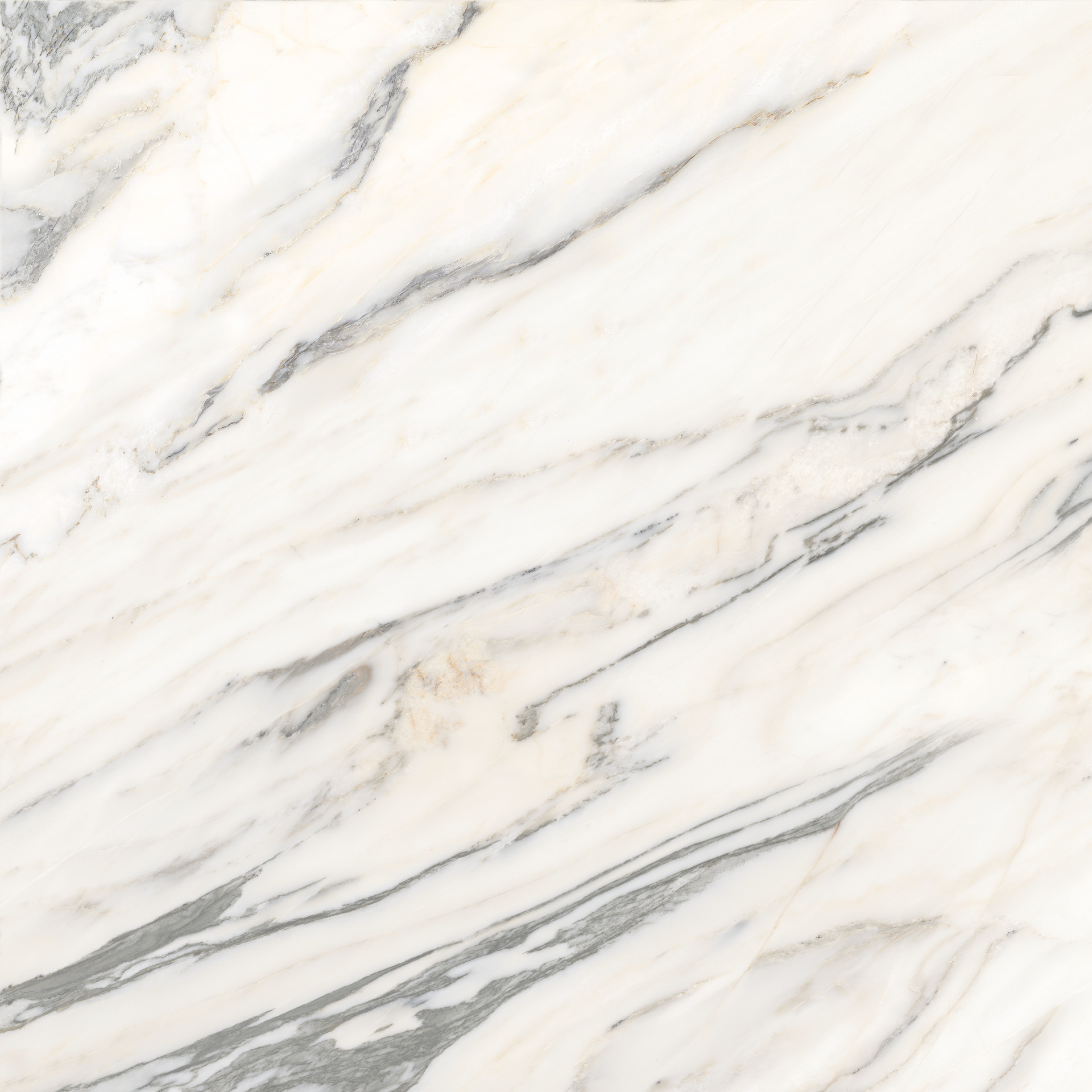 Marazzi Marble Bianco Arni MEMW 120x120 6mm Grande Lux Rett pločica podno-zidna polirana 2,88 57,6