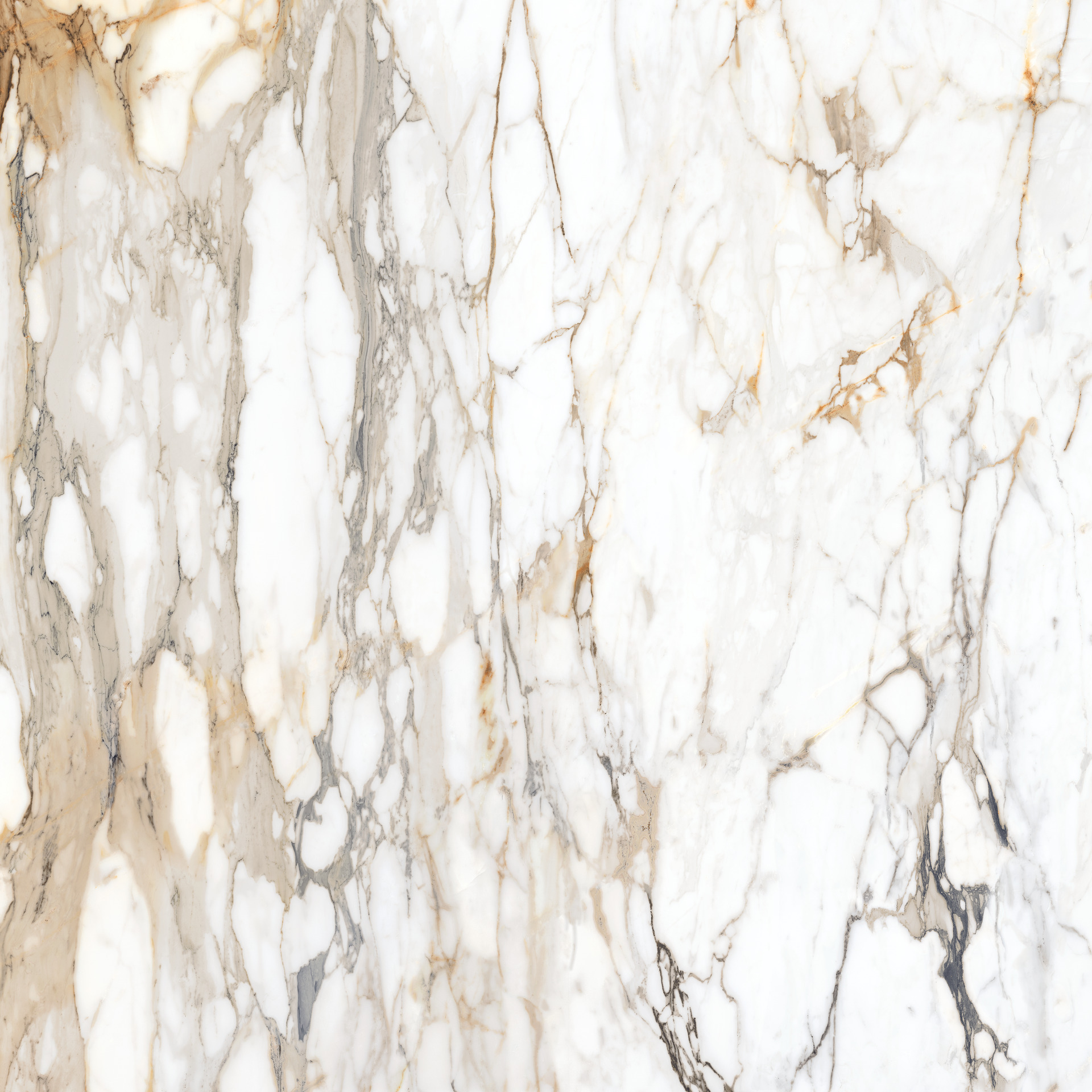 Marazzi Marble Calacatta Vena Vecchia MEMH 120x120 6mm Grande Naturalle/Matt Rett pločica podno-zidna 2,88 57,6