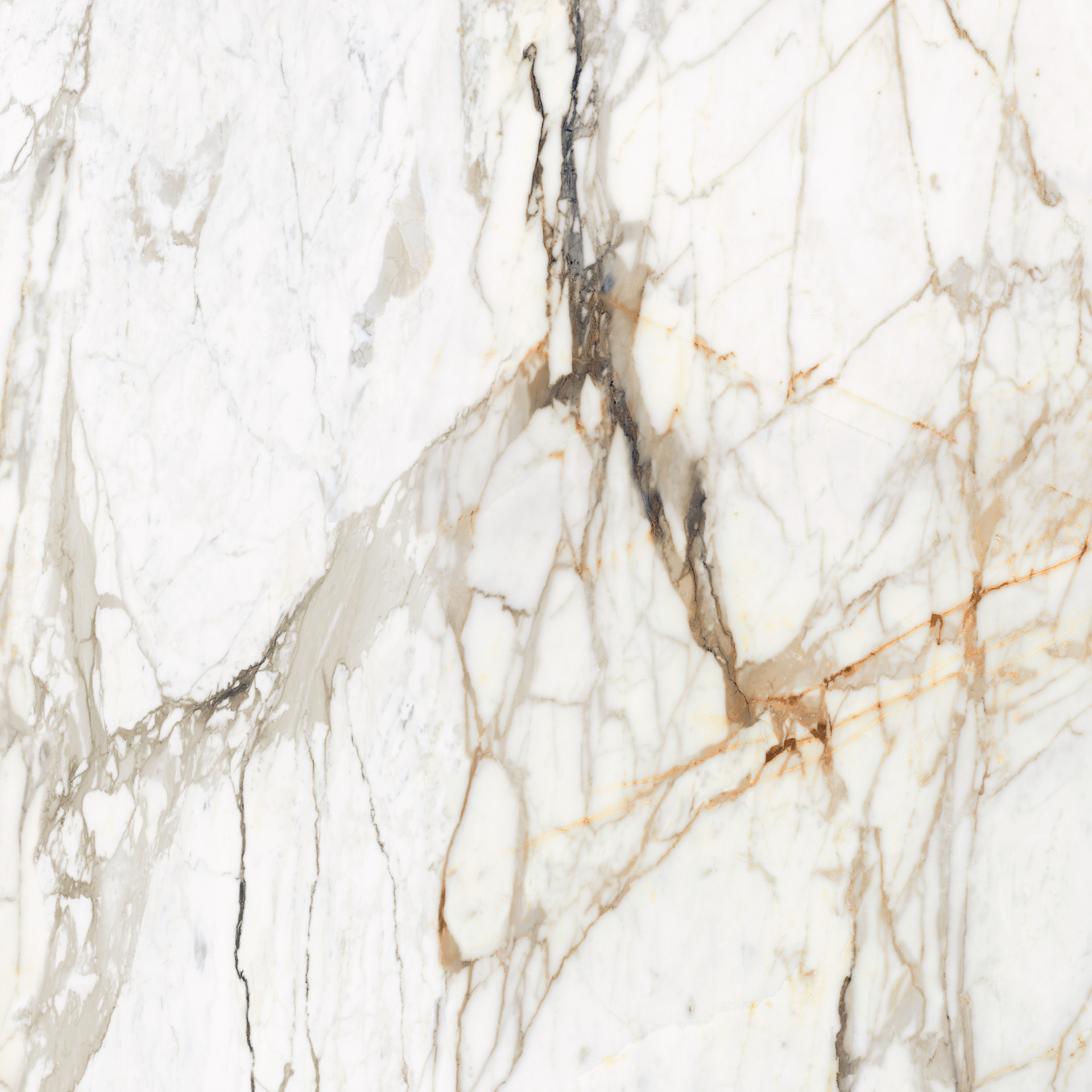 Marazzi Marble Calacatta Vena Vecchia MEMH 120x120 6mm Grande Naturalle/Matt Rett pločica podno-zidna 2,88 57,6