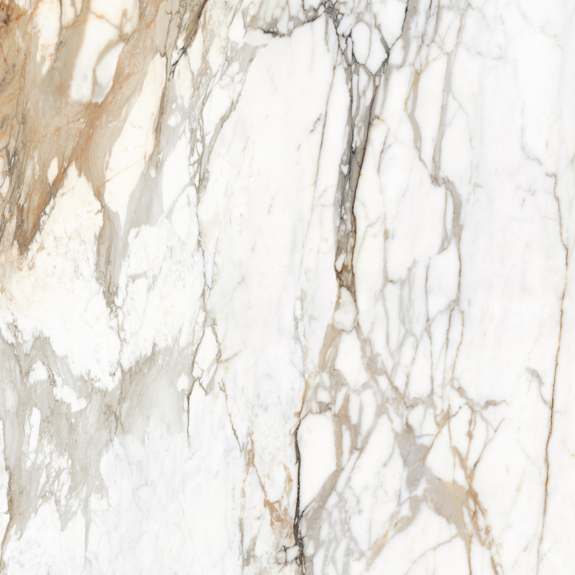 Marazzi Marble Calacatta Vena Vecchia MEMV 120x120 6mm Grande Lux Rett pločica podno-zidna polirana 2,88 57,6